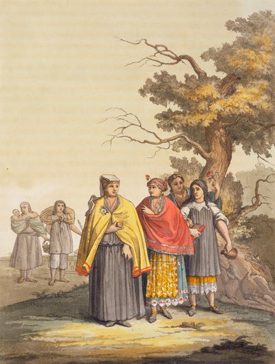 The Caciche Indians in Traditional Costumes, Nova Granada, Brazil by Gallo Gallina
